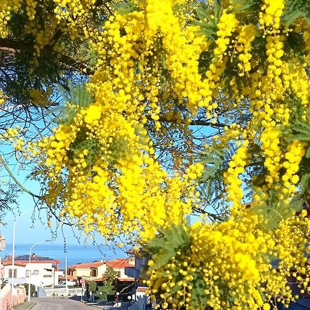 Il Canto Del Mare Castelsardo Bagian luar foto